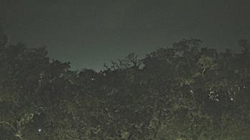 Weather camera view of Metairie Club Gardens.