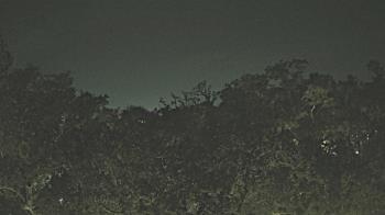 Weather camera view of Metairie Club Gardens.