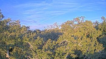 Weather camera view of Metairie Club Gardens.