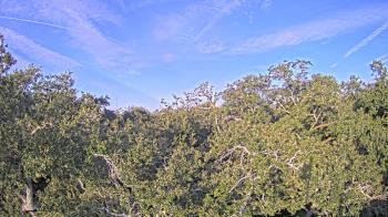 Weather camera view of Metairie Club Gardens.