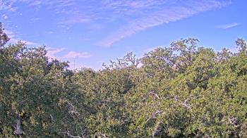 Weather camera view of Metairie Club Gardens.
