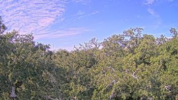 Weather camera view of Metairie Club Gardens.