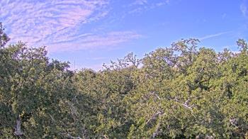 Weather camera view of Metairie Club Gardens.