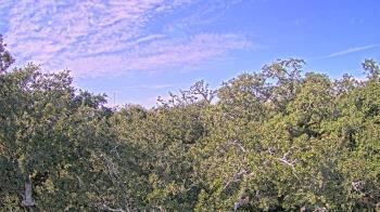 Weather camera view of Metairie Club Gardens.