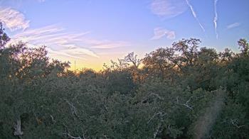 Weather camera view of Metairie Club Gardens.
