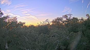Weather camera view of Metairie Club Gardens.