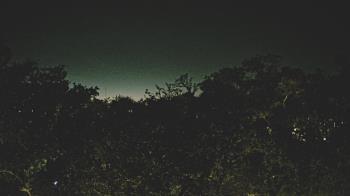 Weather camera view of Metairie Club Gardens.