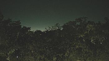 Weather camera view of Metairie Club Gardens.