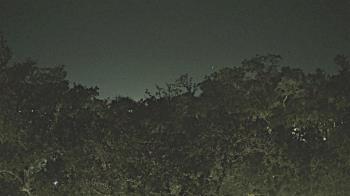 Weather camera view of Metairie Club Gardens.