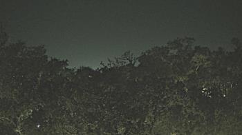 Weather camera view of Metairie Club Gardens.