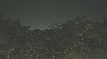 Weather camera view of Metairie Club Gardens.