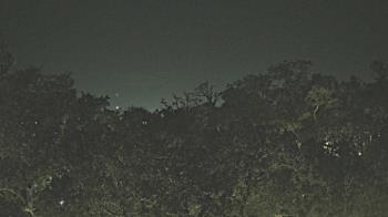 Weather camera view of Metairie Club Gardens.