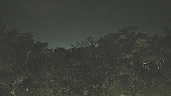 Weather camera view of Metairie Club Gardens.