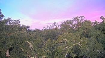 Weather camera view of Metairie Club Gardens.
