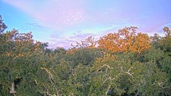 Weather camera view of Metairie Club Gardens.