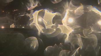 Weather camera view of Trinity MS.