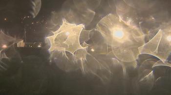 Weather camera view of Trinity MS.