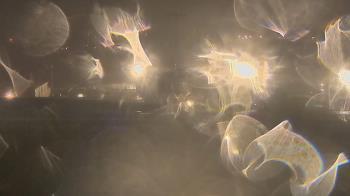 Weather camera view of Trinity MS.