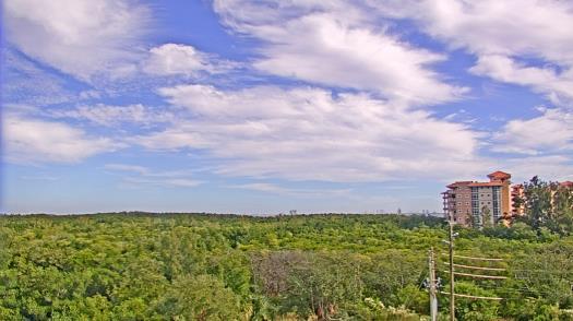 Weather camera view of WTSP-TV.