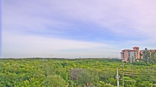 Weather camera view of WTSP-TV.