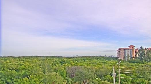 Weather camera view of WTSP-TV.