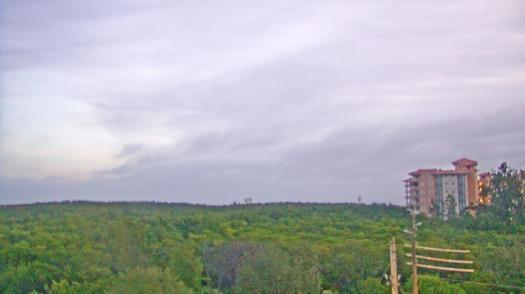 Weather camera view of WTSP-TV.