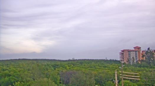 Weather camera view of WTSP-TV.