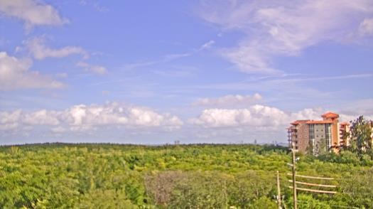 Weather camera view of WTSP-TV.