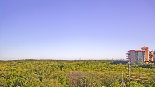 Weather camera view of WTSP-TV.