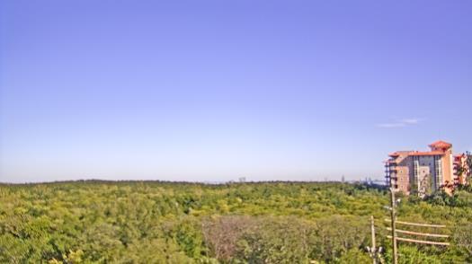 Weather camera view of WTSP-TV.