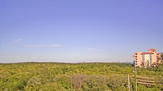 Weather camera view of WTSP-TV.