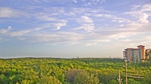 Weather camera view of WTSP-TV.