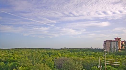 Weather camera view of WTSP-TV.