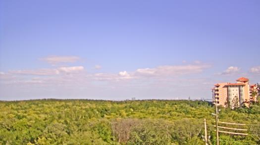 Weather camera view of WTSP-TV.