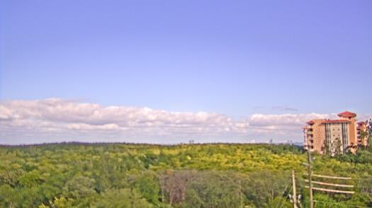 Weather camera view of WTSP-TV.