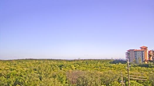 Weather camera view of WTSP-TV.