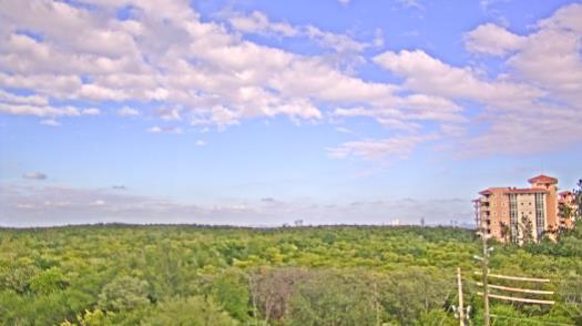 Weather camera view of WTSP-TV.