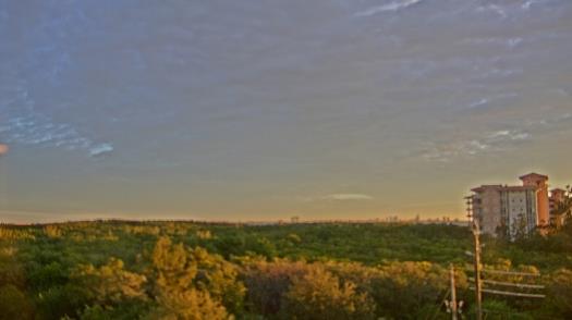 Weather camera view of WTSP-TV.