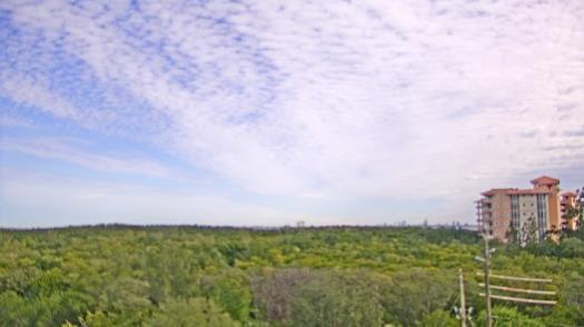 Weather camera view of WTSP-TV.