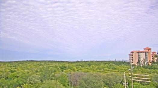 Weather camera view of WTSP-TV.