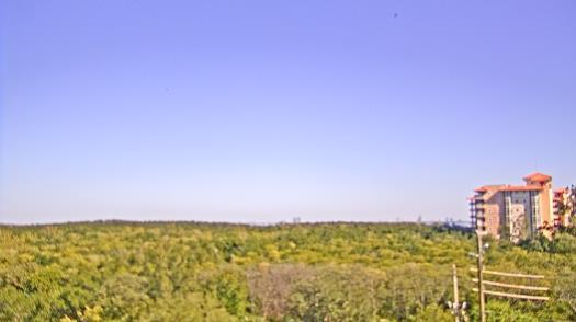 Weather camera view of WTSP-TV.