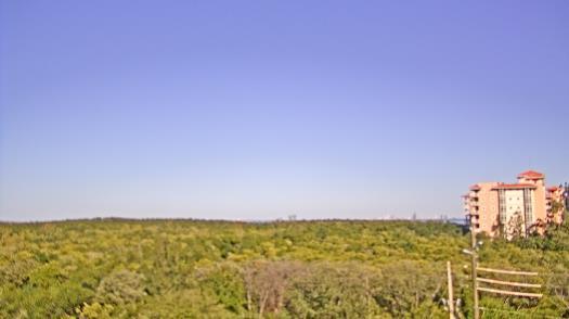 Weather camera view of WTSP-TV.