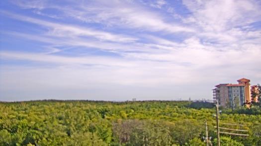 Weather camera view of WTSP-TV.