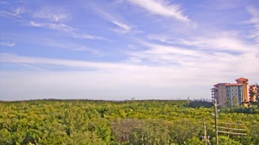 Weather camera view of WTSP-TV.