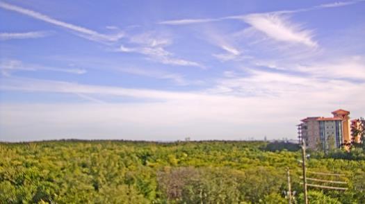 Weather camera view of WTSP-TV.