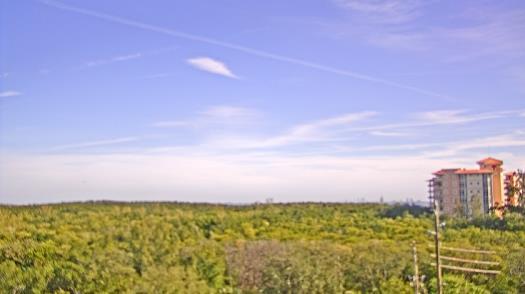 Weather camera view of WTSP-TV.