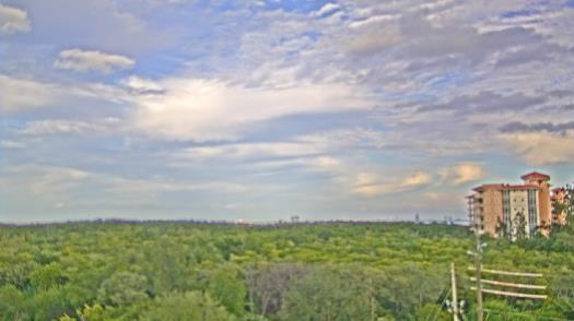 Weather camera view of WTSP-TV.