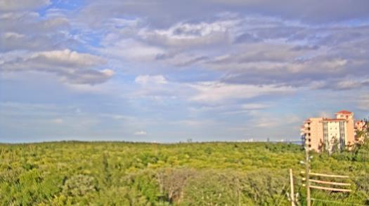 Weather camera view of WTSP-TV.