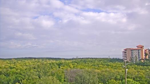 Weather camera view of WTSP-TV.