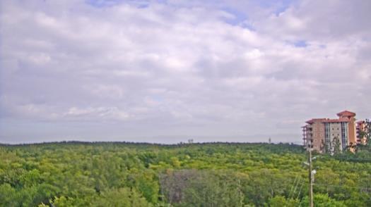 Weather camera view of WTSP-TV.